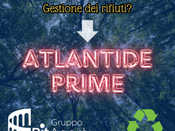 {{brizy_dc_image_alt entityId=