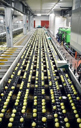 {{brizy_dc_image_alt imageSrc=