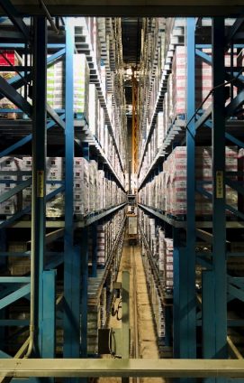 {{brizy_dc_image_alt imageSrc=